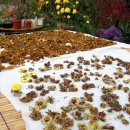 모리폴리 이미지