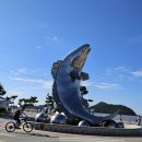 biking tour 임자도~증도 이미지