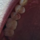 화이트덴치과의원 이미지