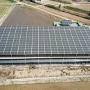 운산 태양광발전소 이미지