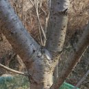 여주-0091 이미지