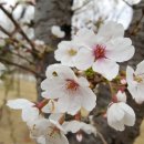 평택시 배다리저수지1 이미지