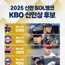 KBO MVP 신인왕 후보 공개 이미지