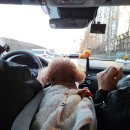 장튼튼내과의원 | 청담 장튼튼내과 방문 후기