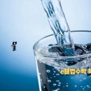 지혜식품