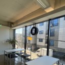 고색애견 이미지