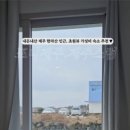 제주스럼 이미지