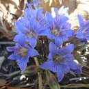 무룡고개 3쉼터 이미지