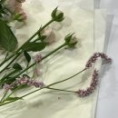 대구 수성구 황금동 꽃집 꽃까비ㅣ프리츠한센 화병 꾸미기