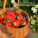 금미자농장 이미지