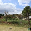 재수드림농장 | 포항 비손농장 캠핑장! 청결도가 최고였던! 체험거리 가득 캠핑장: )