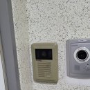 광성비디오 이미지