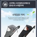 아이네스트