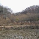 토지추어탕 - 여주시 | 토지추어탕
