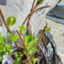 솔숲농원 이미지