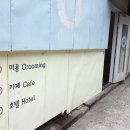 차르도르 애견카페 이미지