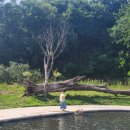 예지목장 이미지