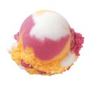 한입멍 | 부산 강아지 케이크 반려동물 수제 간식 한입멍 스쿱 쿠키 원 데이 클래스 후기