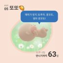 맛나명태감자탕 | [또맘일기] 임신후기:: 31-33주차(열두번째 검진, 머리카락 초음파, 역아돌아옴, 3주만에 689g큰아기...