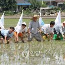 성덕동-9 이미지