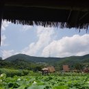 내동마을 이미지