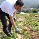 혜원농장 이미지