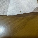 마지막 산후조리 : 구리 리베 산후조리원 후기