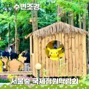 6월 서울숲 국제 정원박람회 포켓몬 시크릿 포레스트 가는길 기간 주차장 지도