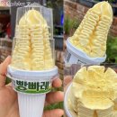 빵빠레 이미지