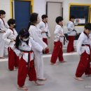 고려용호태권도장 네이버블로그