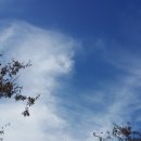 초록슈피아캠핑장 이미지