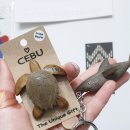 데니스카페예림점 | cebu5일_FUN DIVING_24.01.20