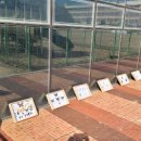 연동초등학교병설유치원 이미지