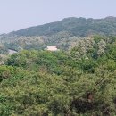 우면산3-15 이미지