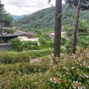 산청 동의보감촌 이미지