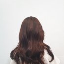 진헤어비스 - 서구 구덕로 240 | 진헤어비스