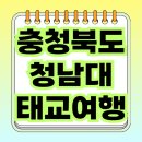 괴산군보건소 | 청남대에서 특별한 태교여행, 자연 속 힐링 프로그램 체험기 🌿