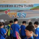 (주)디앤피코퍼레이션 이미지