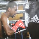 킹콩 복싱 아카데미 이미지