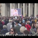 이테리 로마 바티칸 대성당 레오14세 교황님 알현 이미지