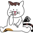 하와더카페 이미지