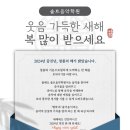 솔트음악학원 이미지