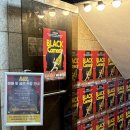 극단 서울무대 | [서울] 혜화 대학로 연극 | 프로하비 일반인 극단 <블랙코미디> 후기