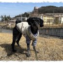 덕정동물의료센터 이미지