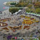 꽃과 함께하는 가을 산책, 고양가을꽃축제 2025