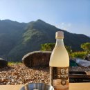 마운틴뷰 산청군 지리산 대경 오토 캠핑장 후기
