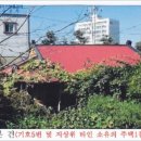 송정동-25 이미지