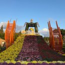 (사)익산시 원봉사종합센터 | 가을에는 국화지, 2025 제22회익산천만송이국화축제 후기