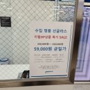 블루페퍼 안경 소사점 이미지