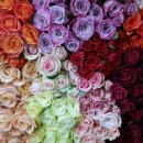 양재시장 이미지